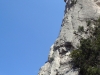 P1110332