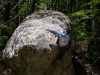 annot_2013-4