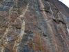 P1110926