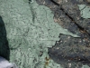 P1140849