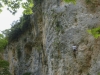 Lagada sect.splithari