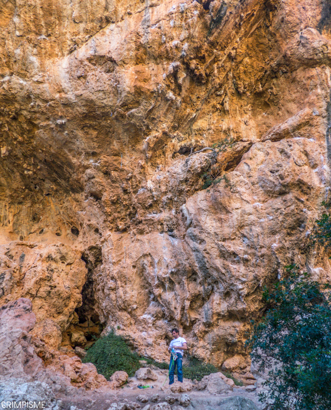 P1050719