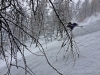 photo-15