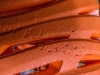 P1040153
