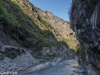 P1070517.jpg