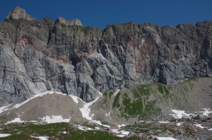 sangre de toro topo