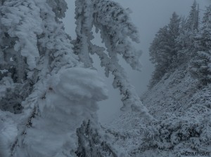 pointe percee gramusset