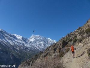 trekking nepal tour annapurna