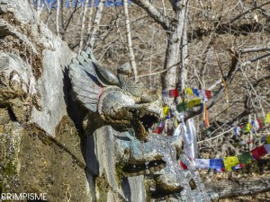 muktinath trek nepal annapurna