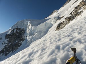 eperon migot chardonnet