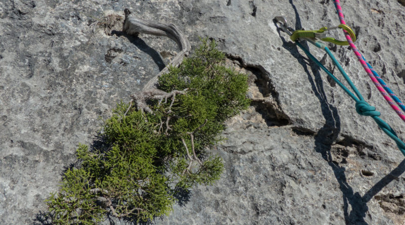 free tibet escalade gorges verdon