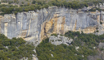 stage escalade buoux