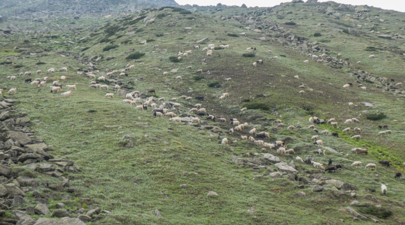 trek pin parvati, himachal pradesh