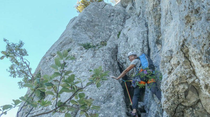 voie escalade franco suisse rochers leschaux