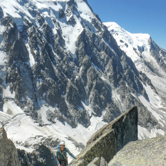Aiguille du Peigne: “Lepidoptères” et arête SW, Fred