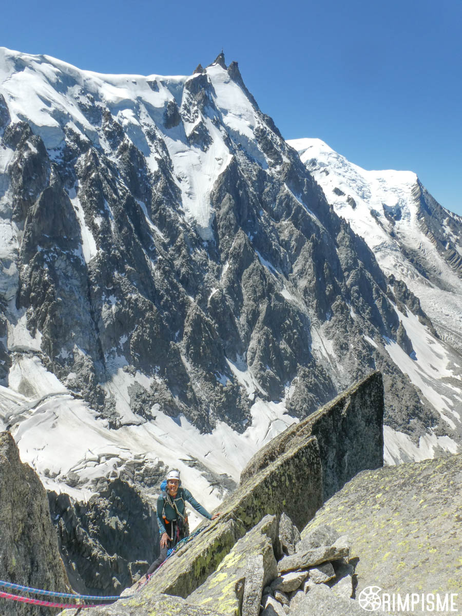 Aiguille du Peigne: “Lepidoptères” et arête SW, Fred