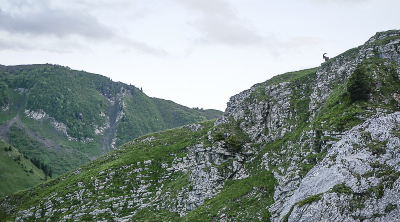 escalade col colombiere