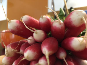 alimentation escalade