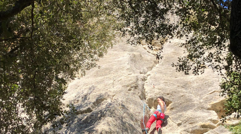 stage escalade buoux climbing grimpisme