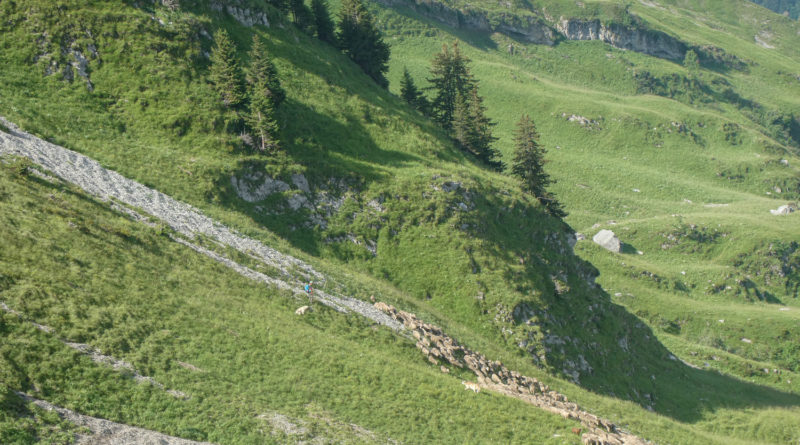 marche montagne aravis