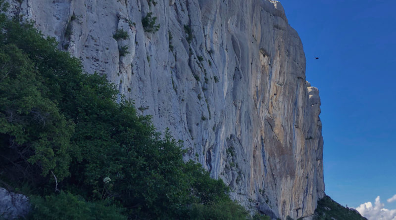 stage escalade ceuse climbing trip courses
