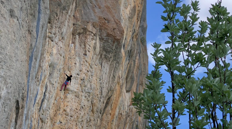 stage escalade ceuse climbing courses