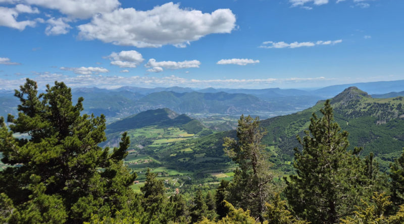 stage escalade ceuse climbing courses
