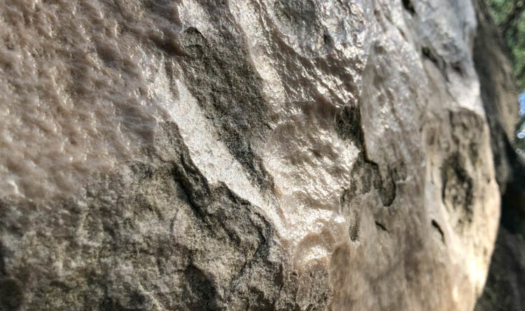 bloc fontainebleau bouldering