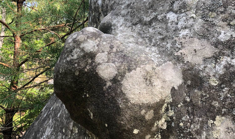 bloc fontainebleau bouldering