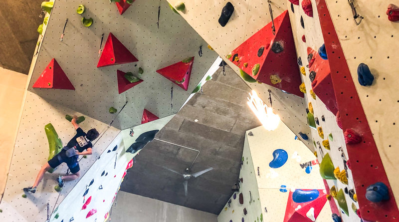 escalade competition climbing