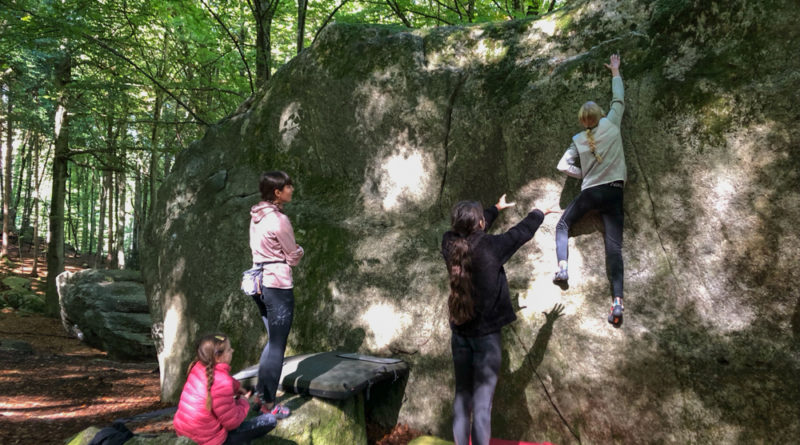 arquee libre entrainement salle escalade climbing gym