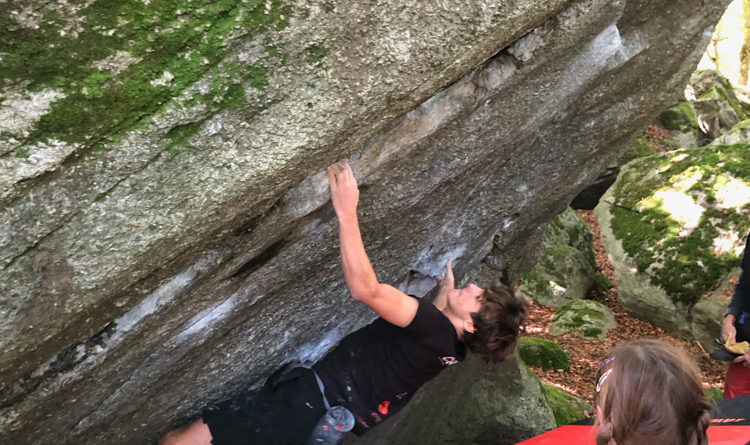 arquee libre entrainement salle escalade climbing gym