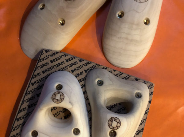 prises escalade beastmaker climbing hold