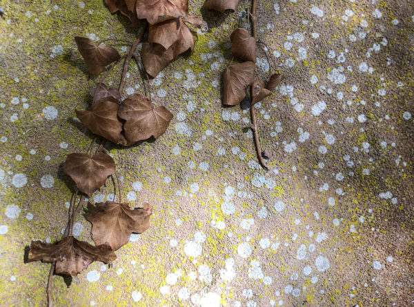 escalade climbing buoux