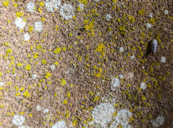 escalade climbing buoux