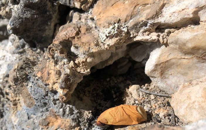 escalade climbing verdon