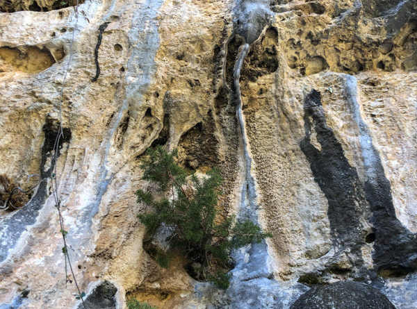 escalade climbing verdon