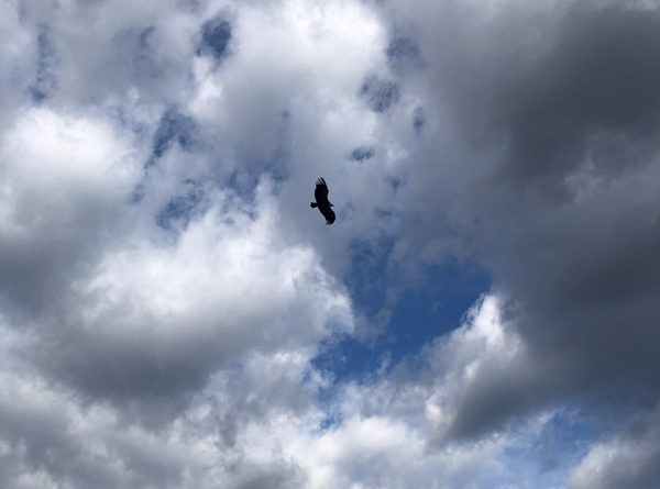 escalade climbing verdon