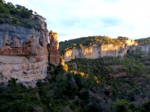 P1000548 - Copie